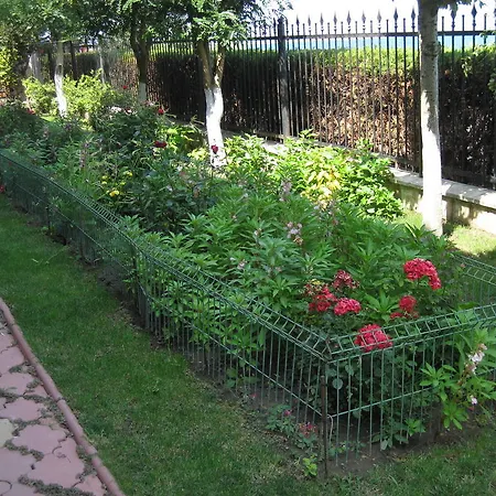 Guest house V3 Eforie Nord