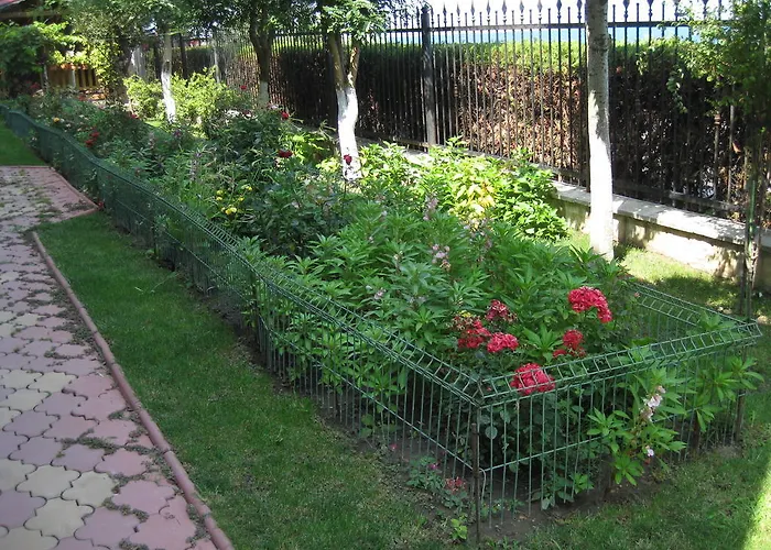 招待所 V3 艾福雷诺德