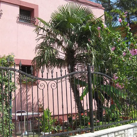 V3 Эфорие Норд